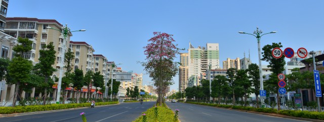 全省首个合成橡胶项目